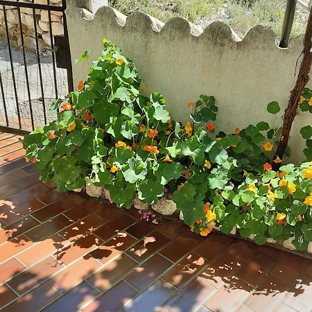 Apartman Legac Starigrad  Ngoại thất bức ảnh